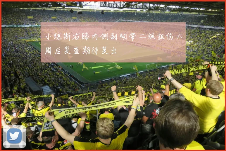小琼斯右膝内侧副韧带二级扭伤六周后复查期待复出